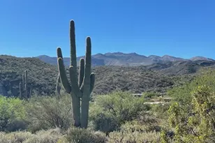 18931 E Maren Ave, Black Canyon City, AZ 85324 - Photo 19