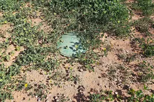 2914 E San Xavier Rd, Sierra Vista, AZ 85635 - Photo 39