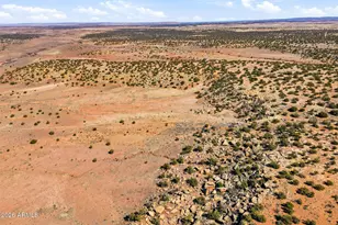 77 N8543, Concho, AZ 85924 - Photo 39