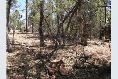 6454 W Bradshaw Drive #116, Pine, AZ 85544 - Photo 5