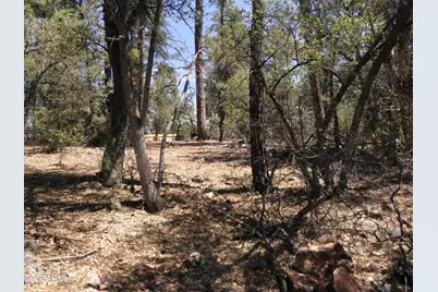 6454 W Bradshaw Drive #116, Pine, AZ 85544 - Photo 3