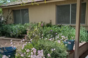 4344 W Sandra Cir, Glendale, AZ 85308 - Photo 11