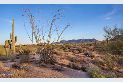 28787 N 114th Street #N & P, Scottsdale, AZ 85262 - Photo 5