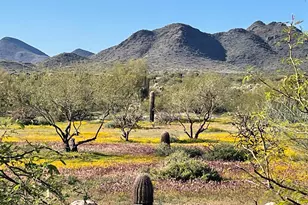 0 N 36th Street St, Cave Creek, AZ 85331 - Photo 1