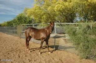 6108 E Morning Vista Ln, Cave Creek, AZ 85331 - Photo 71