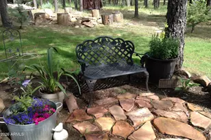 1777 Forest Trail, Forest Lakes, AZ 85931 - Photo 43