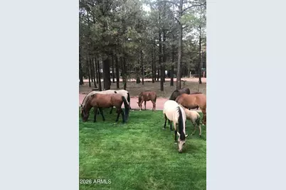 1777 Forest Trail, Forest Lakes, AZ 85931 - Photo 45