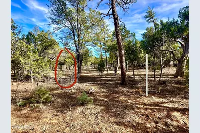 321 W Aspen Trail #240, Show Low, AZ 85901 - Photo 13