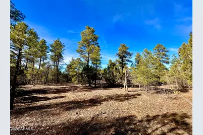 321 W Aspen Trail #240, Show Low, AZ 85901 - Photo 9