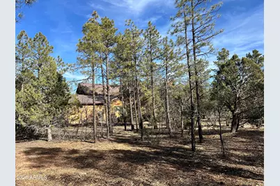 321 W Aspen Trail #240, Show Low, AZ 85901 - Photo 7