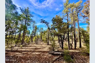 321 W Aspen Trail #240, Show Low, AZ 85901 - Photo 5