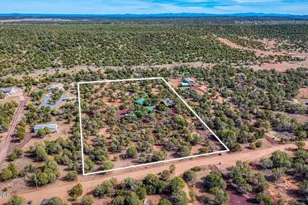 2137 Graphite Rd, Clay Springs, AZ 85923 - Photo 47