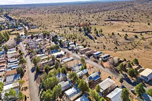 2218 Rodeo Rd, Overgaard, AZ 85933 - Photo 29