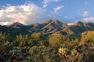 11063 E Jasmine Dr, Scottsdale, AZ 85255 - Photo 73