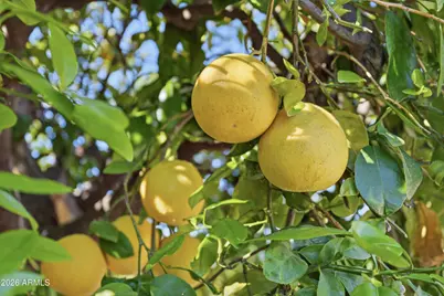 11069 W Fargo Drive, Sun City, AZ 85351 - Photo 51