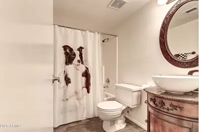 724 W Palomino Drive, Chandler, AZ 85225 - Photo 29