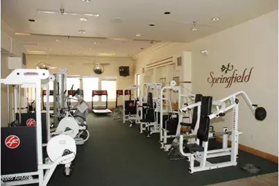 1413 E Peach Tree Drive, Chandler, AZ 85249 - Photo 37