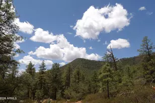 018E &014U Pine Hollow Trail, Pine, AZ 85544 - Photo 1