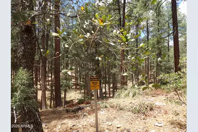 018E &014U Pine Hollow Trail #018E & 014U, Pine, AZ 85544 - Photo 7