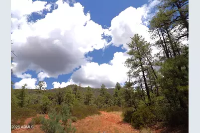 018E &014U Pine Hollow Trail #018E & 014U, Pine, AZ 85544 - Photo 3