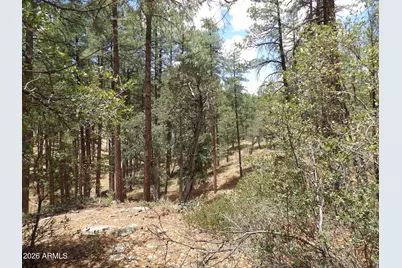 018E &014U Pine Hollow Trail #018E & 014U, Pine, AZ 85544 - Photo 5