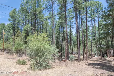 Lot 138 Marcy Way #138, Pine, AZ 85544 - Photo 3