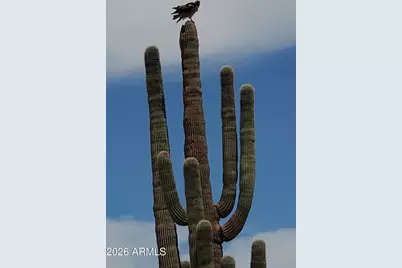 0 N 323 Avenue #31, Wittmann, AZ 85361 - Photo 5