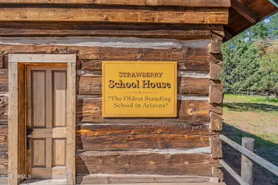 8397 W Turkey Run Drive, Pine, AZ 85544 - Photo 59