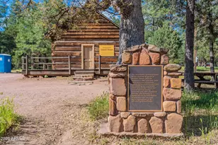 8397 W Turkey Run Dr, Pine, AZ 85544 - Photo 57