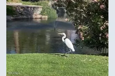 770 S Ocean Drive, Gilbert, AZ 85233 - Photo 51