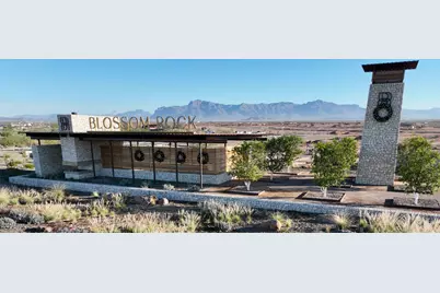 409 W Ridge Road, Apache Junction, AZ 85120 - Photo 33