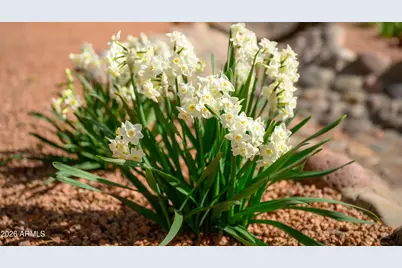 190 Creek Rock Road, Sedona, AZ 86351 - Photo 33