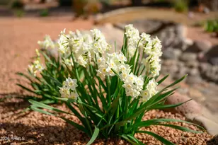 190 Creek Rock Rd, Sedona, AZ 86351 - Photo 33