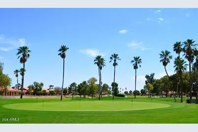 26020 S Flame Tree Drive, Sun Lakes, AZ 85248 - Photo 65