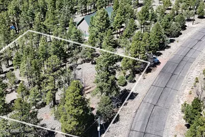 2870 Coyote Ridge #54, Happy Jack, AZ 86024 - Photo 5