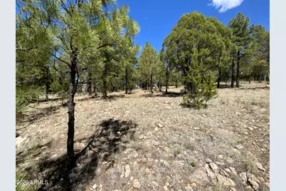 2870 Coyote Ridge #54, Happy Jack, AZ 86024 - Photo 15