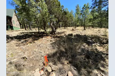 2870 Coyote Ridge #54, Happy Jack, AZ 86024 - Photo 19