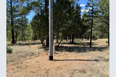2870 Coyote Ridge #54, Happy Jack, AZ 86024 - Photo 21
