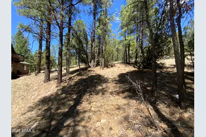 2870 Coyote Ridge #54, Happy Jack, AZ 86024 - Photo 13