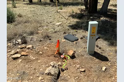 2870 Coyote Ridge #54, Happy Jack, AZ 86024 - Photo 17