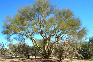 0 N 220th Ave, Surprise, AZ 85378 - Photo 1