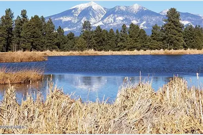 2495 Mesa Trail, Flagstaff, AZ 86005 - Photo 33