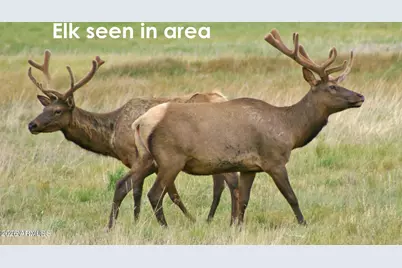 2495 Mesa Trail, Flagstaff, AZ 86005 - Photo 37