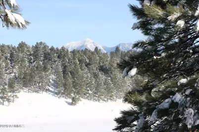 2495 Mesa Trail, Flagstaff, AZ 86005 - Photo 43