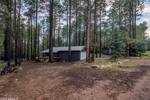 2600 Summer Loop, Forest Lakes, AZ 85931 - Photo 41