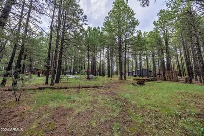 2600 Summer Loop, Forest Lakes, AZ 85931 - Photo 35