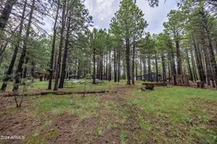 2600 Summer Loop, Forest Lakes, AZ 85931 - Photo 35