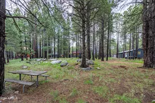 2600 Summer Loop, Forest Lakes, AZ 85931 - Photo 39