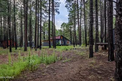 2600 Summer Loop, Forest Lakes, AZ 85931 - Photo 37