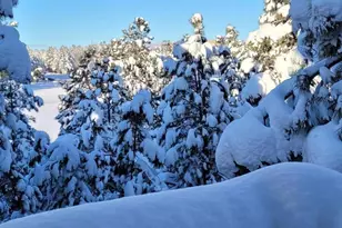 4371 E Savannah Cir, Flagstaff, AZ 86004 - Photo 31